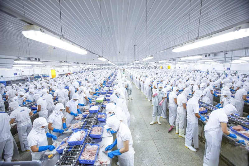 生鲜食材配送——构建健康饮食新生态